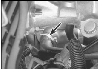 8.17a On TU series aluminium block engines, disconnect the hoses (arrowed)